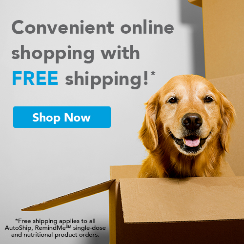 Convenient Online Shopping with VetSource