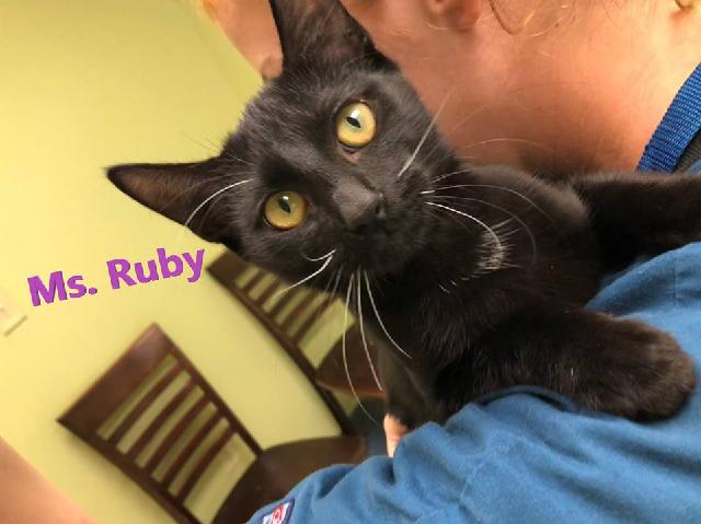 Ms. Ruby - ADOPTED
